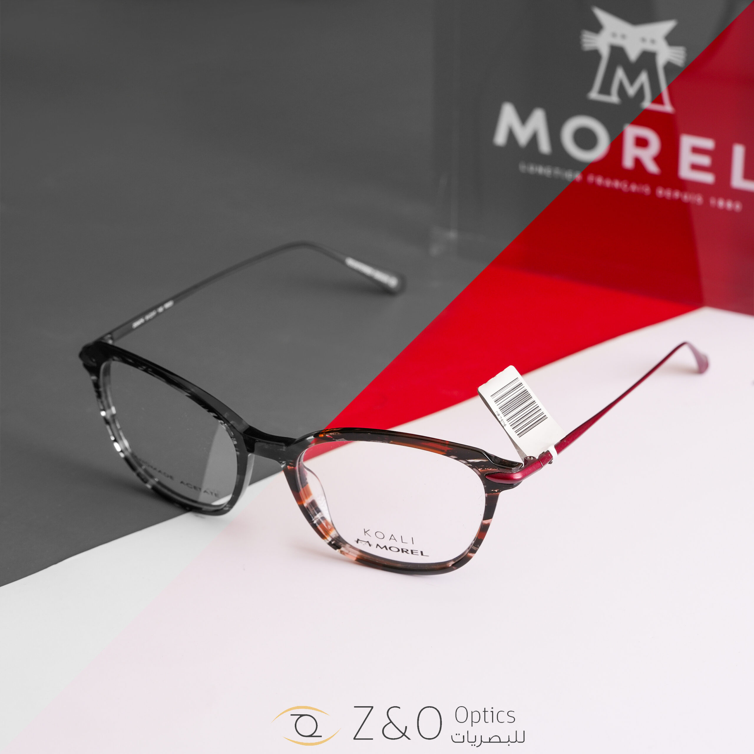 MOREL - الصورة 4