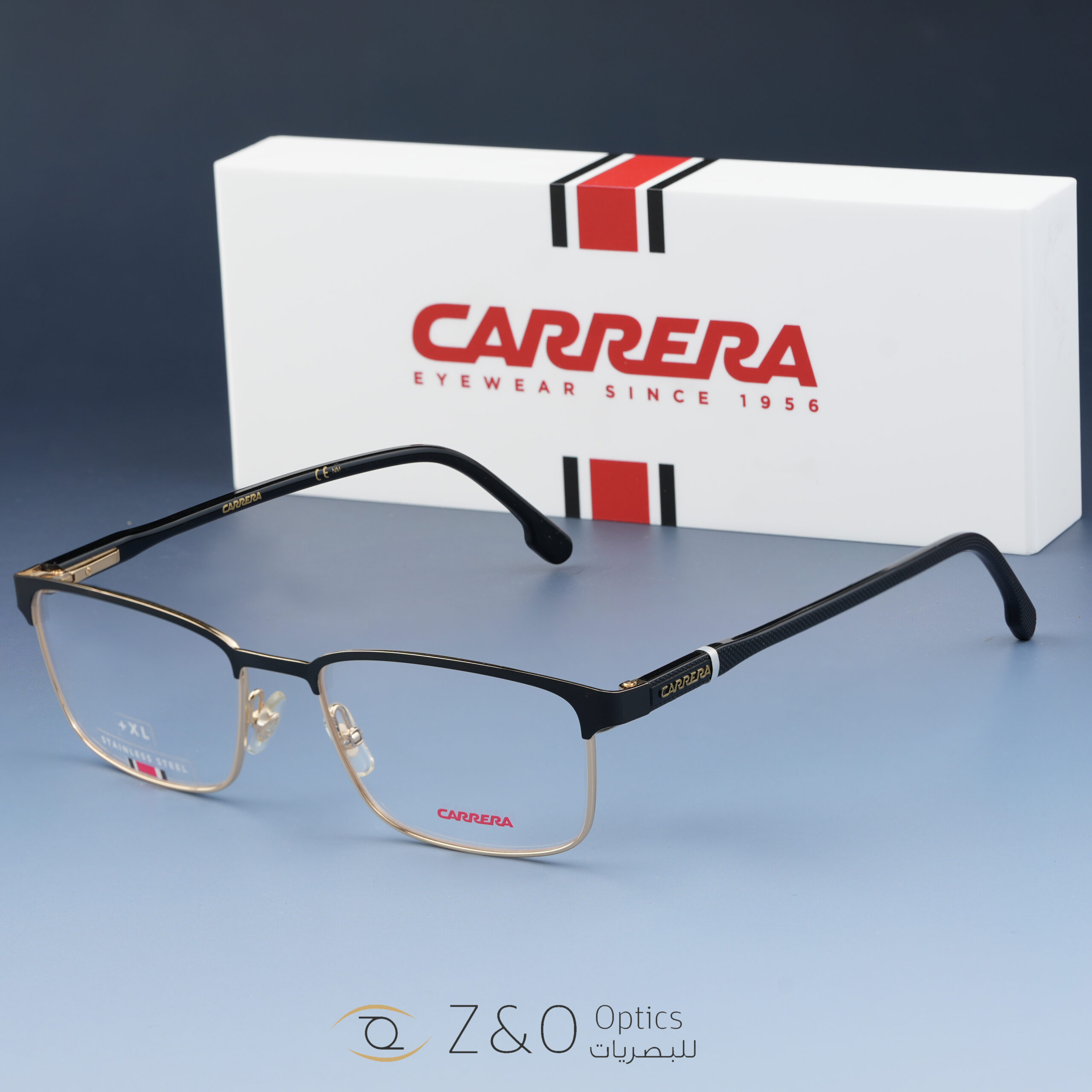 carerra - الصورة 10