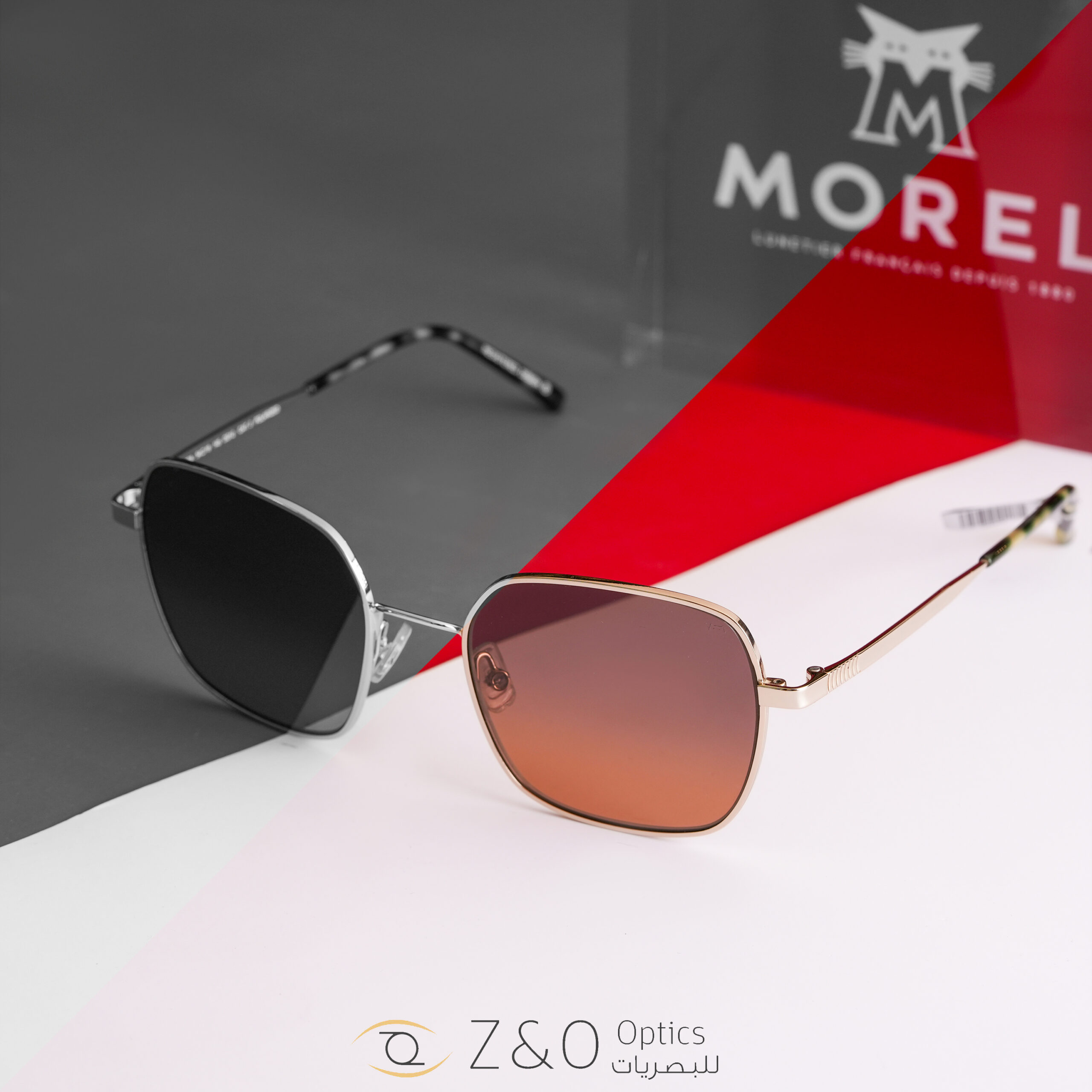 MOREL - الصورة 2